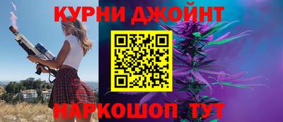 мдпв Кингисепп
