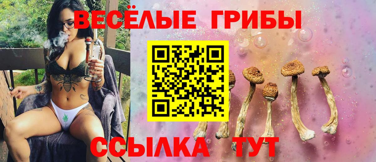 магазин  наркотиков  Псилоцибиновые грибы Psilocybine cubensis  Вход с VPN  Шатура 