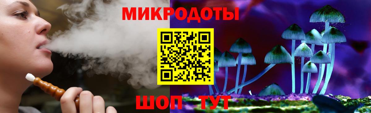 Псилоцибиновые грибы Psilocybe Шатура